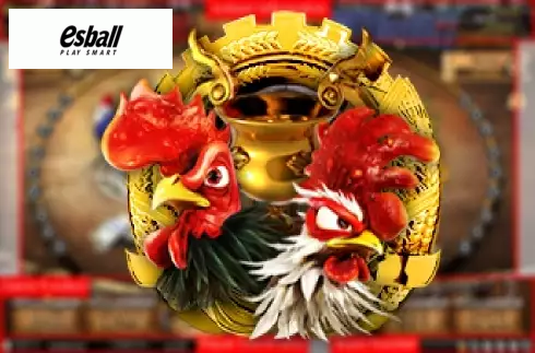 Cock Fighting